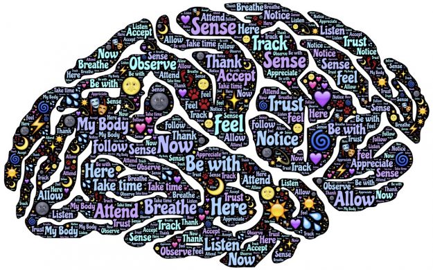 The Correlation Between Meditation and Communication The Correlation Between Meditation and Communication