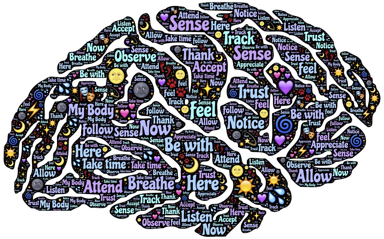 The Correlation Between Meditation and Communication The Correlation Between Meditation and Communication